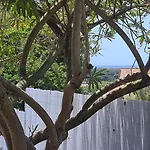 Feriehus L' Escale Des Iles En Rdc De Avec Jardin A 5mn Des Plages Et De Toutes Les Commodites *